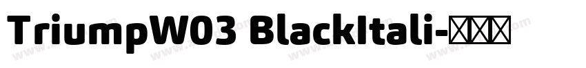 TriumpW03 BlackItali字体转换